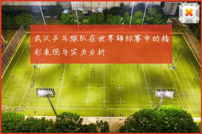 武汉乒乓球队在世界锦标赛中的精彩表现与实力分析
