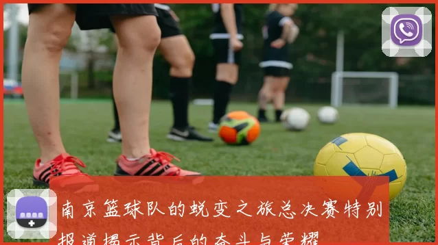 南京篮球队的蜕变之旅总决赛特别报道揭示背后的奋斗与荣耀