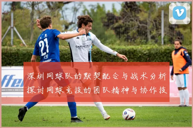 深圳网球队的默契配合与战术分析探讨网球竞技的团队精神与协作技巧
