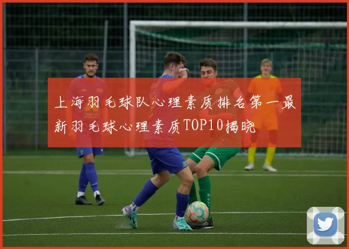 上海羽毛球队心理素质排名第一最新羽毛球心理素质TOP10揭晓