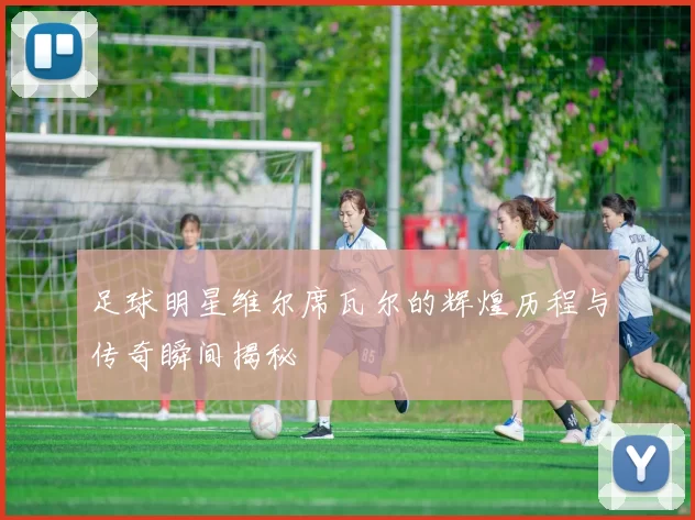 足球明星维尔席瓦尔的辉煌历程与传奇瞬间揭秘