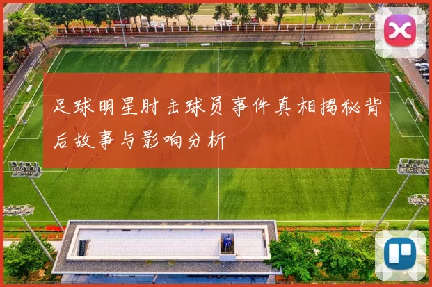 足球明星肘击球员事件真相揭秘背后故事与影响分析