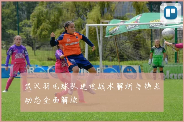 武汉羽毛球队进攻战术解析与热点动态全面解读