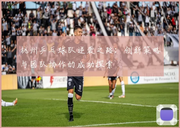 杭州乒乓球队逆袭之路：创新策略与团队协作的成功探索