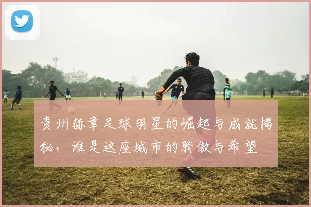 贵州赫章足球明星的崛起与成就揭秘，谁是这座城市的骄傲与希望