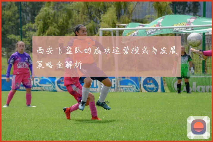 西安飞盘队的成功运营模式与发展策略全解析