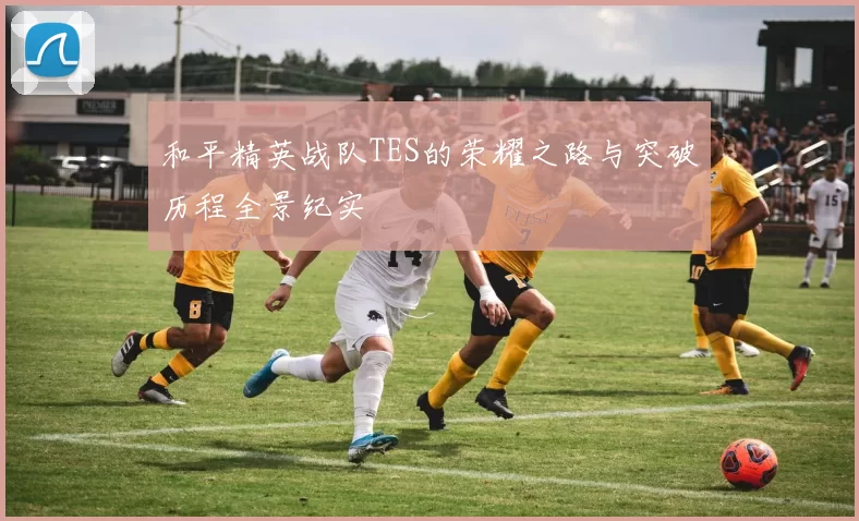 和平精英战队TES的荣耀之路与突破历程全景纪实