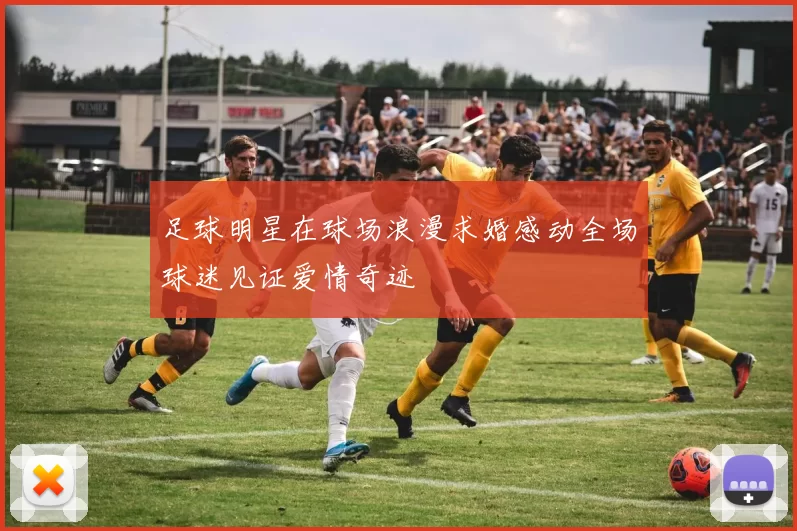 足球明星在球场浪漫求婚感动全场球迷见证爱情奇迹