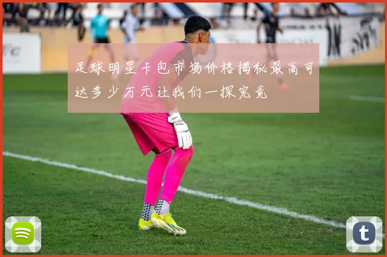 足球明星卡包市场价格揭秘最高可达多少万元让我们一探究竟