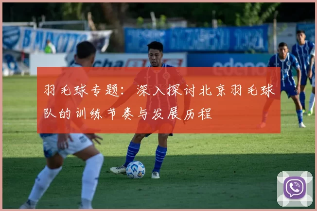 羽毛球专题：深入探讨北京羽毛球队的训练节奏与发展历程