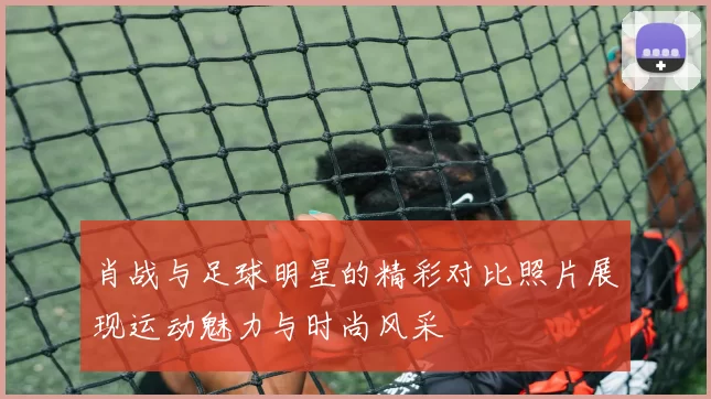 肖战与足球明星的精彩对比照片展现运动魅力与时尚风采