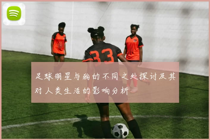 足球明星与狗的不同之处探讨及其对人类生活的影响分析