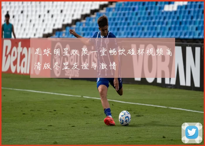 足球明星欢聚一堂畅饮碰杯视频高清版尽显友谊与激情