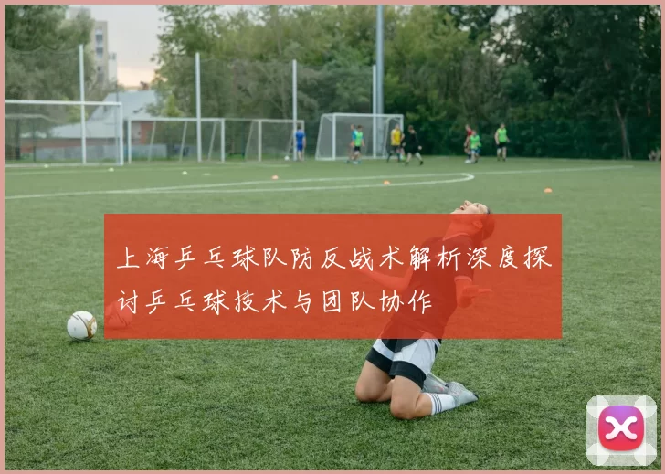 上海乒乓球队防反战术解析深度探讨乒乓球技术与团队协作