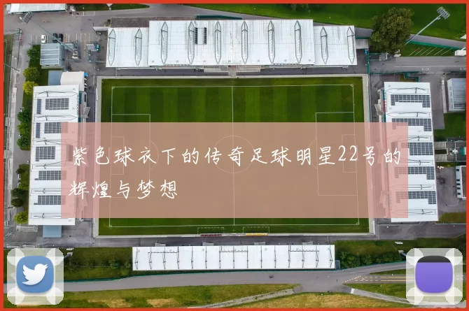 紫色球衣下的传奇足球明星22号的辉煌与梦想