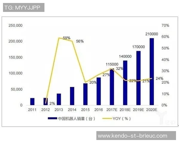 北京羽毛球队运营分析：成功经验与面临挑战的深度探讨