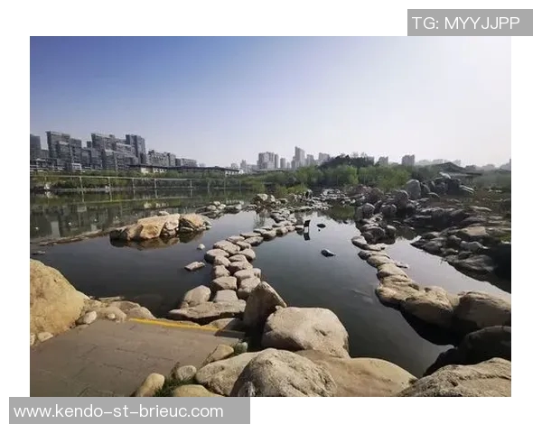 深入分析成都攀岩队区域防守战术的核心理念与实践效果 深入分析成都攀岩队区域防守战术的核心理念与实践效果