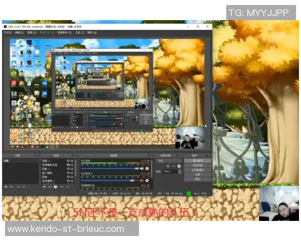 深入分析JDG战队技术策略与战术执行的成功之道