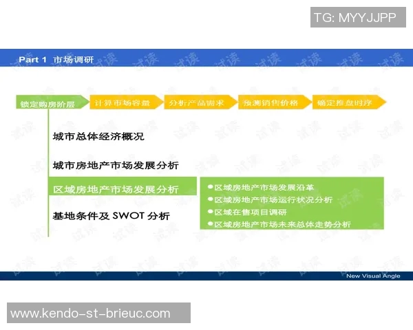 从零基础到高手之路乒乓球配合技巧全解析与实战指南