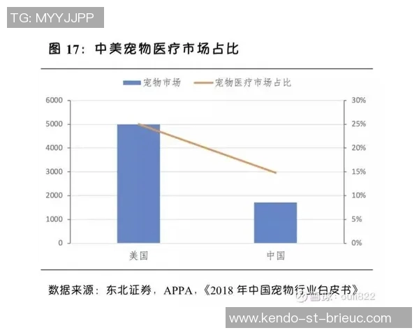 广州网球队团队协作深度对比分析与发展建议